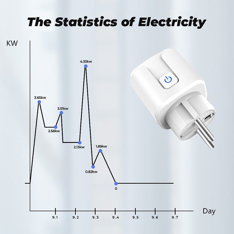 WiFi EU Smart Plug (RSH-WS021)