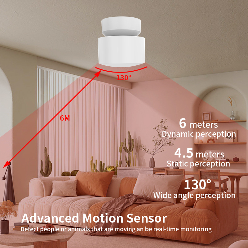 WiFi/ZigBee 24G Radar Millimeter Wave Human Presence Sensor (RSH-RD24G01)